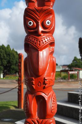 Rotorua la maori